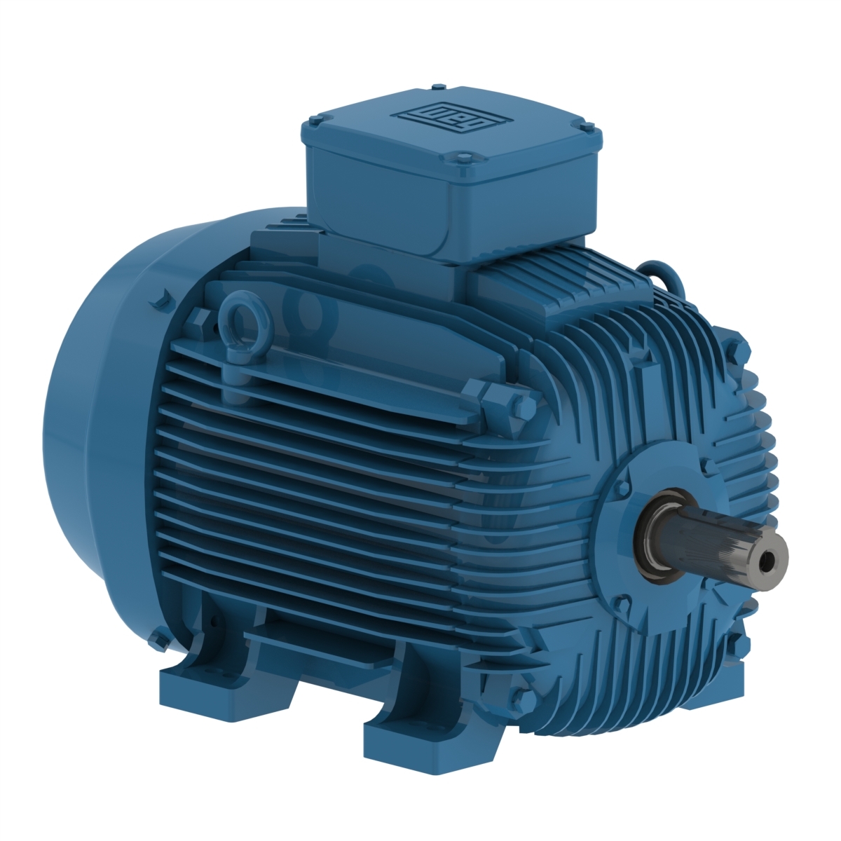 WEG W21 High Efficiency Low Voltage Motor