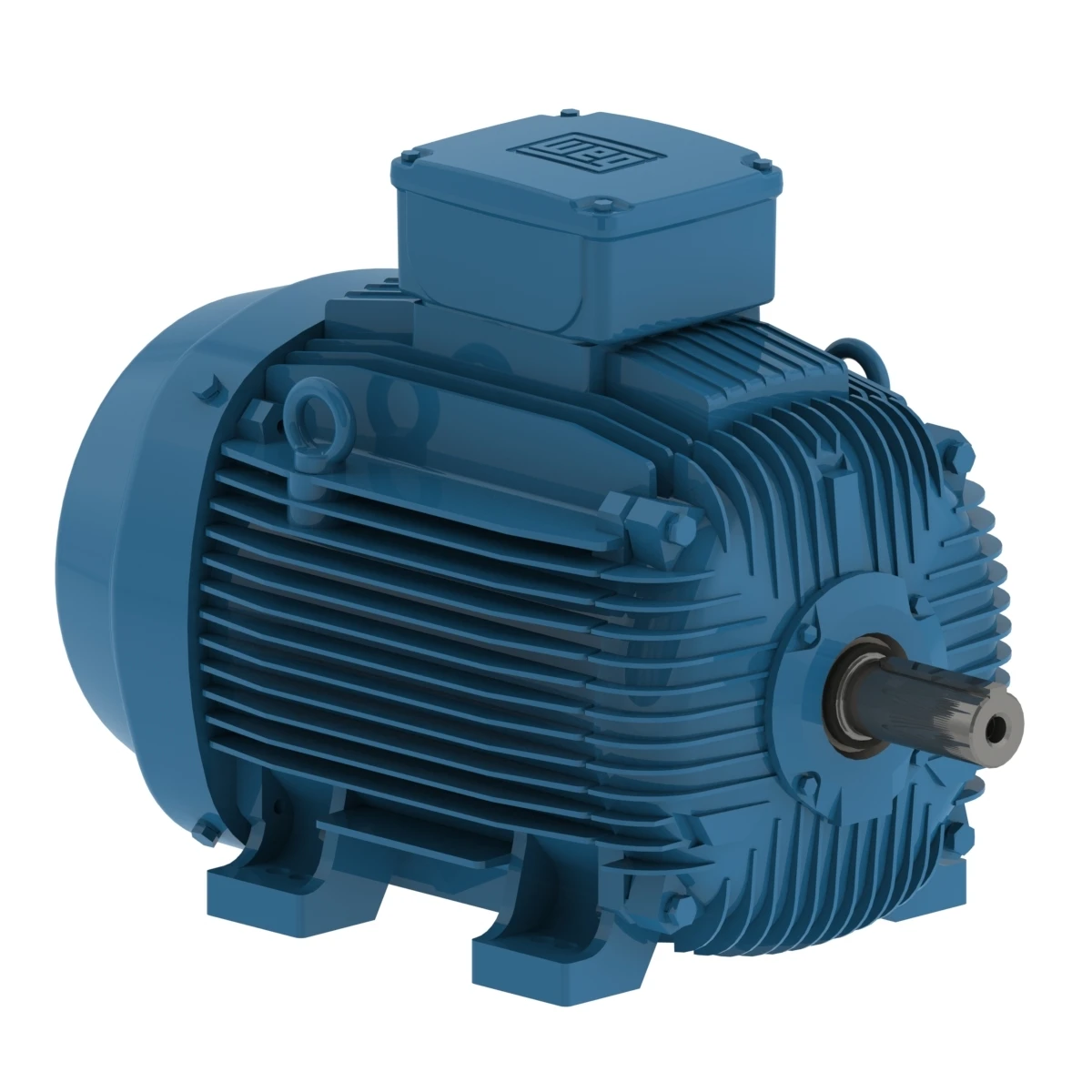 WEG W21 low voltage electric motor for industrial applications