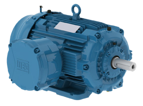 WEG W22 Ex d explosion proof motor for hazardous area applications